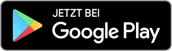 HSE Google App